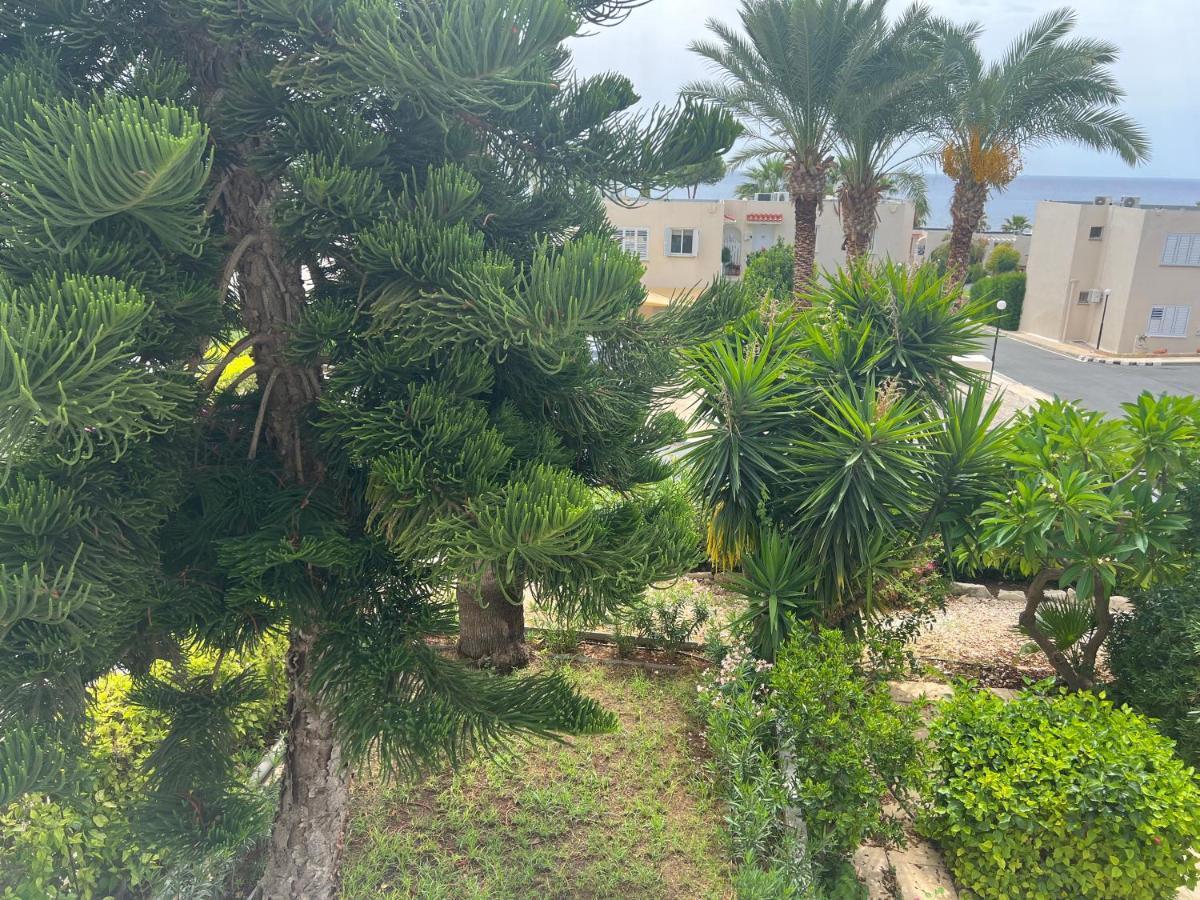 Ferienwohnung Modern Seaview Townhouse In Coral Bay (Adults Only) Peyia Exterior foto