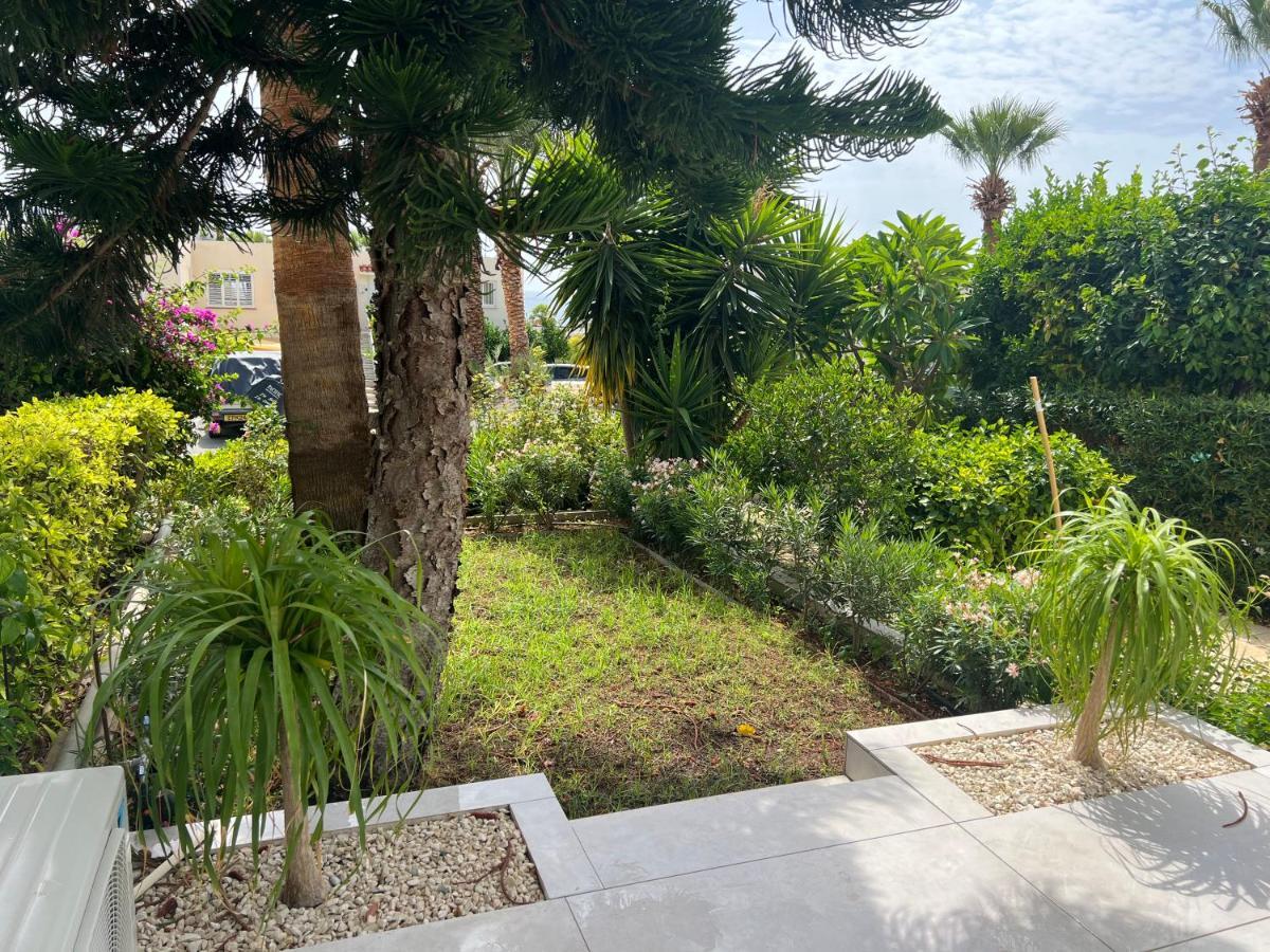 Ferienwohnung Modern Seaview Townhouse In Coral Bay (Adults Only) Peyia Exterior foto