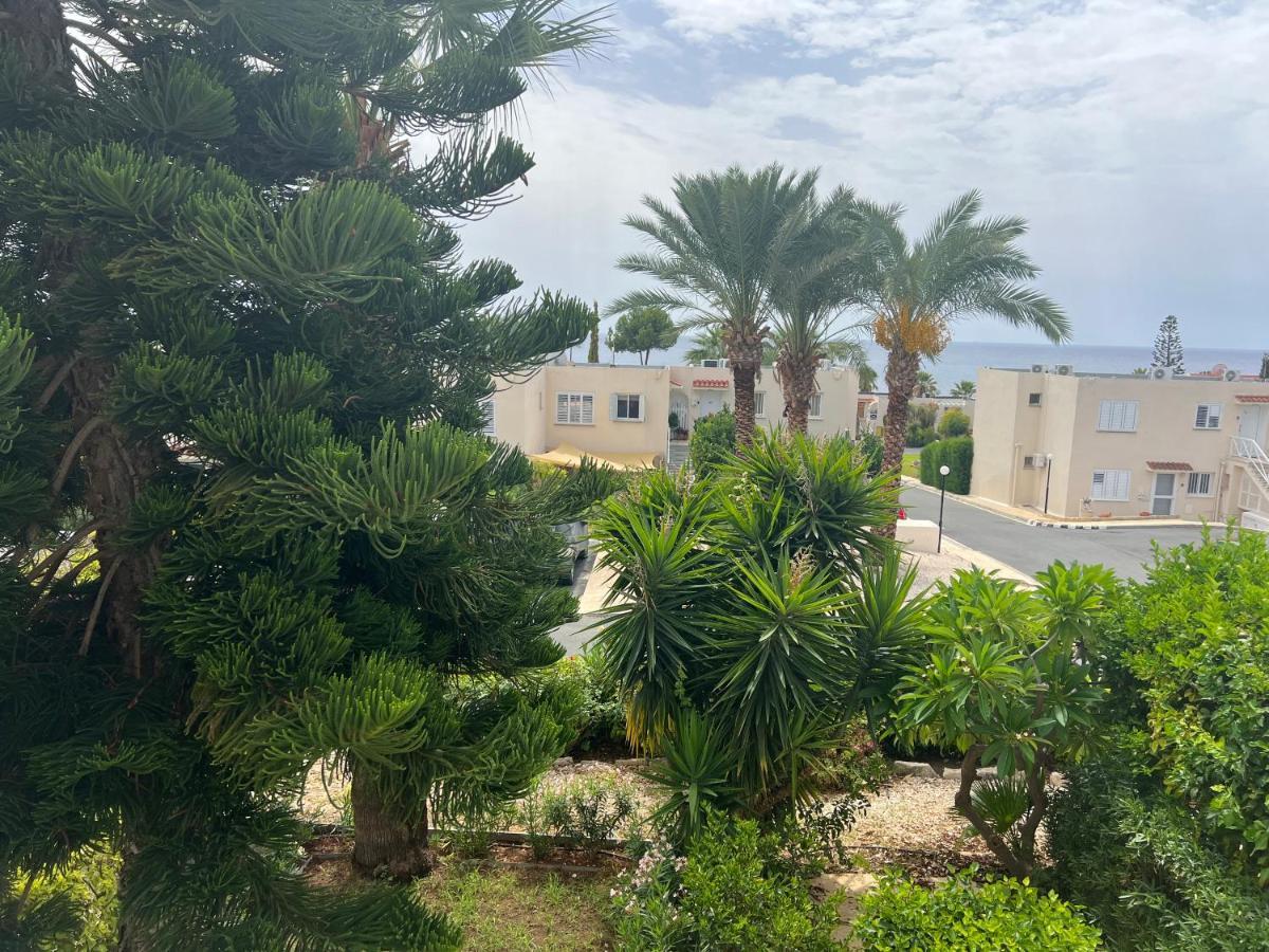 Ferienwohnung Modern Seaview Townhouse In Coral Bay (Adults Only) Peyia Exterior foto