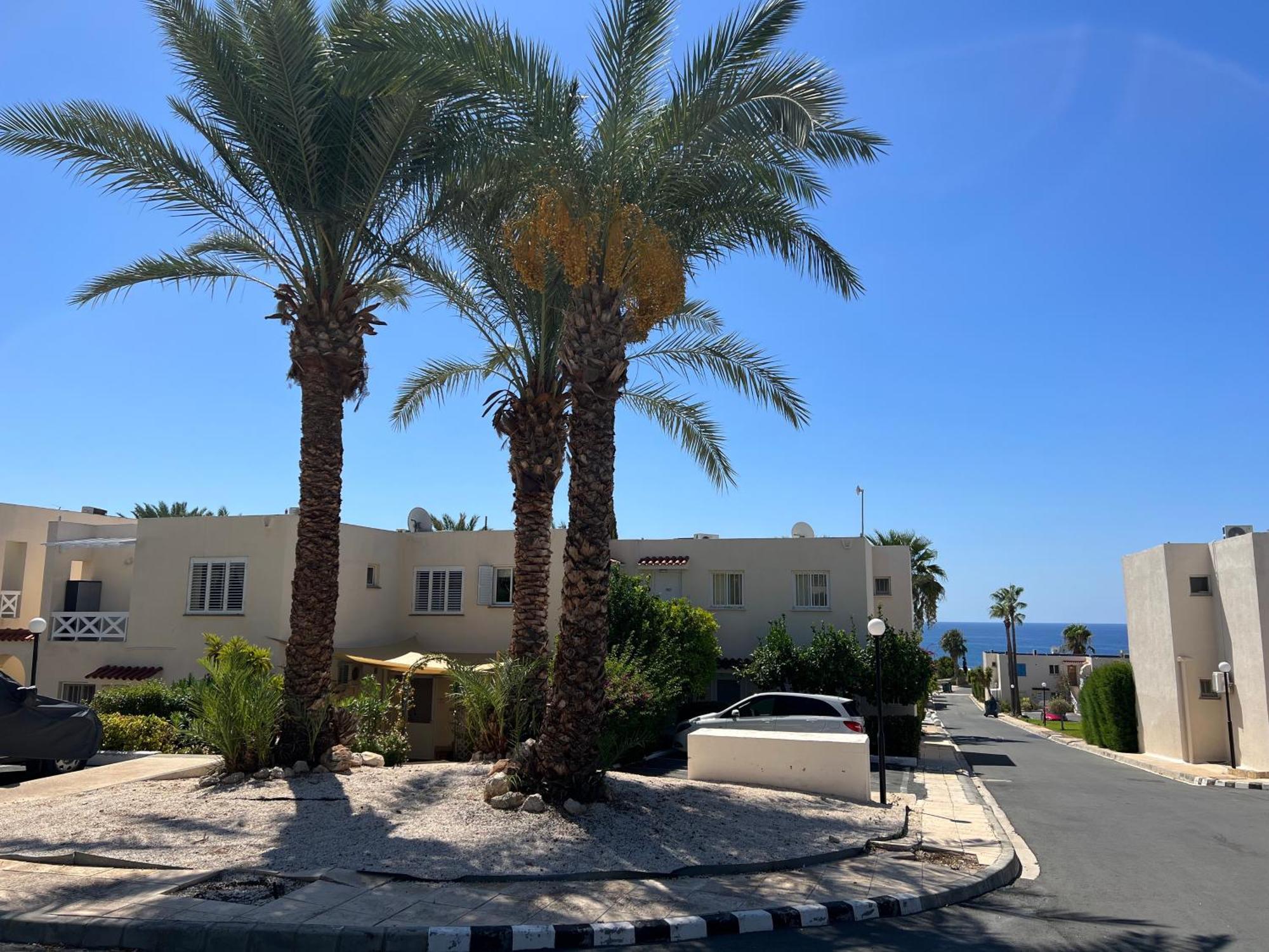 Ferienwohnung Modern Seaview Townhouse In Coral Bay (Adults Only) Peyia Exterior foto
