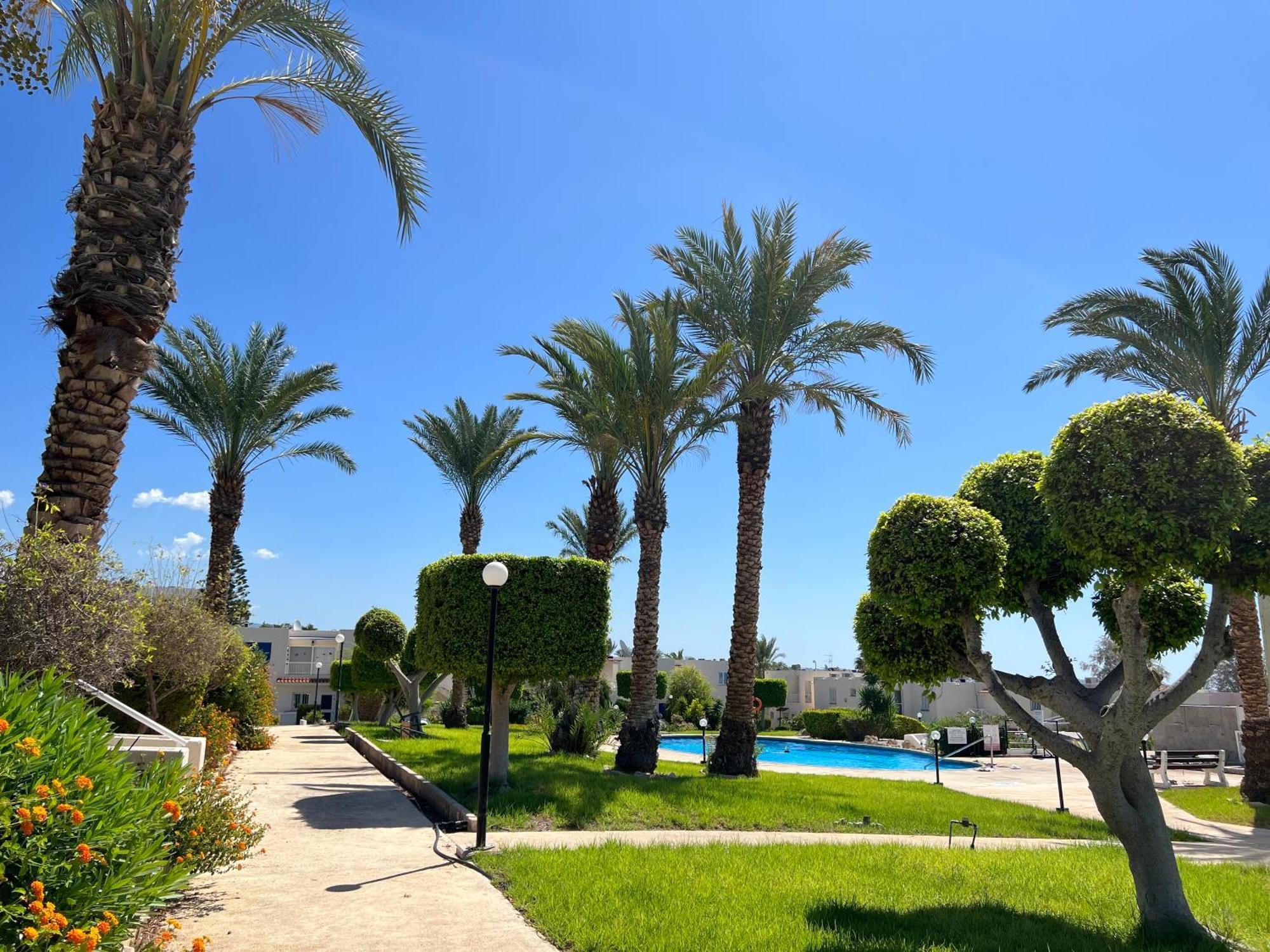 Ferienwohnung Modern Seaview Townhouse In Coral Bay (Adults Only) Peyia Exterior foto